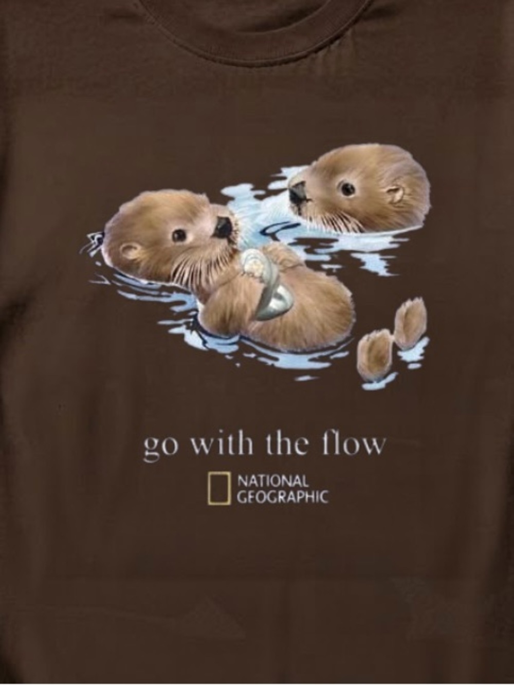 Brown - National Geographic Otter Go With The Flow Graphic T-Shirt Brown - Picture 2 of 2